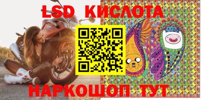 винт Будённовск