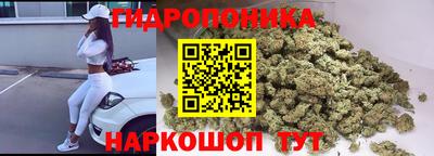 винт Будённовск